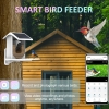 4MP Wi-Fi Smart Bird Feeder Camera